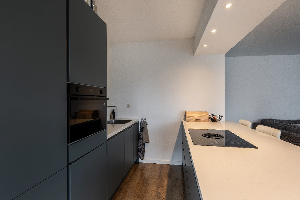 Louis Raemaekersstraat 21 foto 3