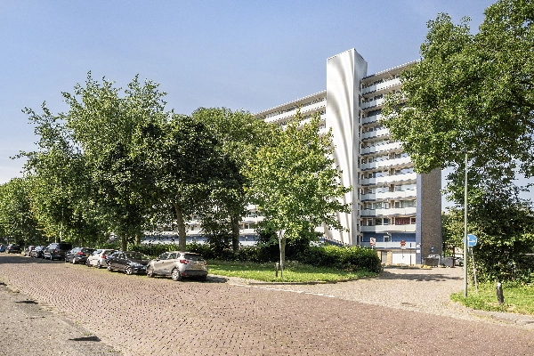 Holysingel 226